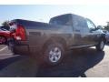 Granite Crystal Metallic - 1500 Express Crew Cab Photo No. 3