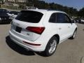 Glacier White Metallic - Q5 2.0 TFSI Premium Plus quattro Photo No. 14