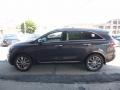 Platinum Graphite - Sorento SXL V6 AWD Photo No. 5