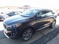 Platinum Graphite - Sorento SXL V6 AWD Photo No. 6