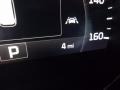 Platinum Graphite - Sorento SXL V6 AWD Photo No. 20