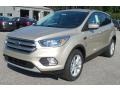 2017 White Gold Ford Escape SE  photo #1