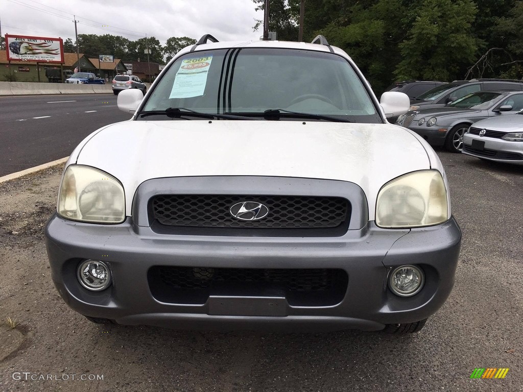2003 Santa Fe GLS 4WD - Nordic White / Gray photo #13