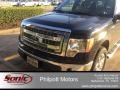 Tuxedo Black Metallic 2013 Ford F150 XLT SuperCrew