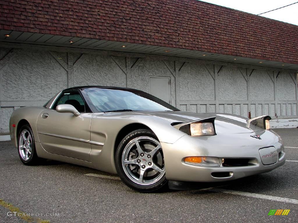 2002 Corvette Coupe - Light Pewter Metallic / Black photo #1