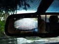 2013 Magnetic Gray Metallic Toyota Tacoma V6 SR5 Double Cab 4x4  photo #29