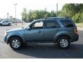 2010 Steel Blue Metallic Ford Escape Limited V6 4WD  photo #9