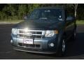 2010 Steel Blue Metallic Ford Escape Limited V6 4WD  photo #10