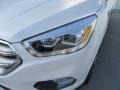 2017 White Platinum Ford Escape Titanium  photo #9