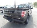 2013 Tuxedo Black Metallic Ford F150 XL Regular Cab 4x4  photo #7