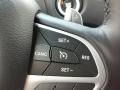 Black Controls Photo for 2017 Dodge Durango #115989284