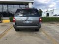2010 Sterling Grey Metallic Ford Expedition Limited  photo #3