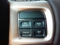Black/Cattle Tan Controls Photo for 2017 Ram 3500 #116006010