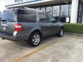2010 Sterling Grey Metallic Ford Expedition Limited  photo #4