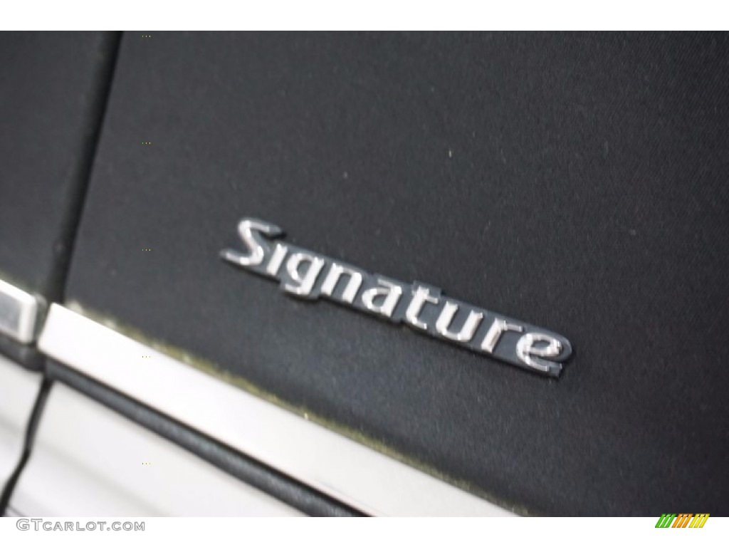 2003 Town Car Signature - Silver Birch Metallic / Dark Stone/Medium Light Stone photo #65