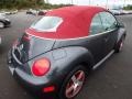 2005 Platinum Grey Metallic Volkswagen New Beetle Dark Flint Edition Convertible  photo #4