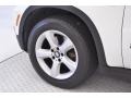 Alpine White - X5 3.0si Photo No. 9