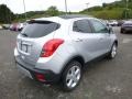 Quicksilver Metallic - Encore  Photo No. 5
