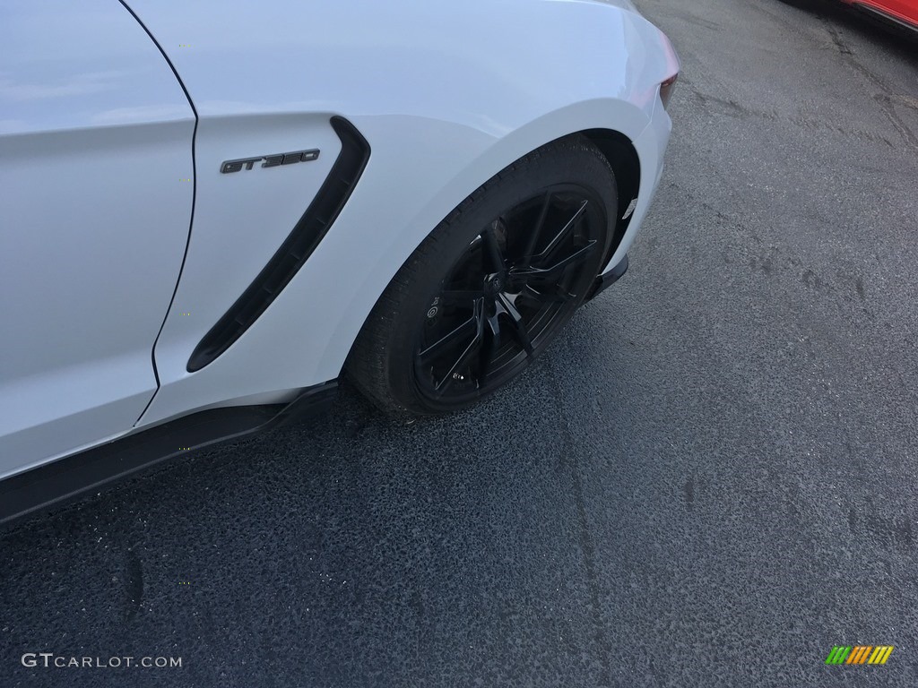 2016 Mustang Shelby GT350 - Oxford White / Ebony Recaro Sport Seats photo #19