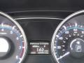 Shimmering White - Sonata GLS Photo No. 25