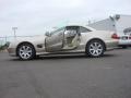 Desert Silver Metallic - SL 500 Roadster Photo No. 25