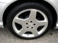 Brilliant Silver Metallic - CL 500 Photo No. 6