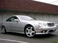 Brilliant Silver Metallic - CL 500 Photo No. 22