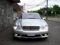 Brilliant Silver Metallic - CL 500 Photo No. 23