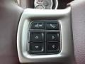 Canyon Brown/Light Frost Beige Controls Photo for 2017 Ram 1500 #116147135