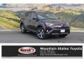 Black Current Metallic - RAV4 XLE AWD Photo No. 1