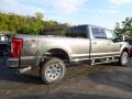 2017 Magnetic Ford F350 Super Duty Platinum Crew Cab 4x4  photo #2