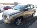 2008 Light Khaki Metallic Jeep Compass Sport 4x4  photo #7