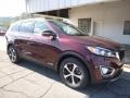 2017 Sangria Kia Sorento EX V6 AWD  photo #8