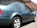 2003 Baltic Green Metallic Volkswagen Jetta GLS TDI Sedan  photo #6