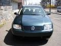 2003 Baltic Green Metallic Volkswagen Jetta GLS TDI Sedan  photo #10