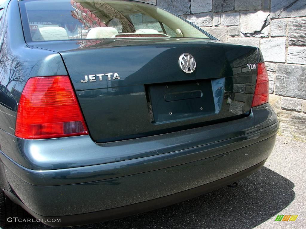 2003 Jetta GLS TDI Sedan - Baltic Green Metallic / Beige photo #15