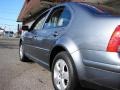 2004 Platinum Grey Metallic Volkswagen Jetta GLS TDI Sedan  photo #11