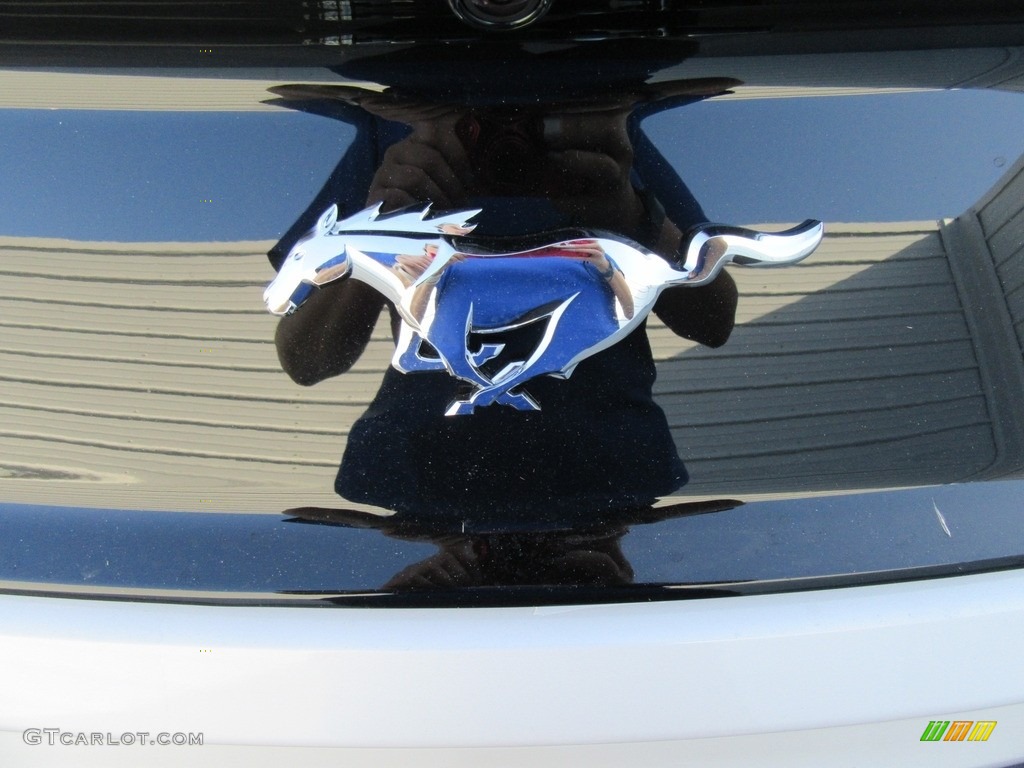 2017 Mustang EcoBoost Premium Coupe - White Platinum / Ebony photo #14