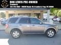 Sterling Grey Metallic 2010 Ford Escape Limited V6 4WD