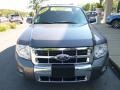 Sterling Grey Metallic - Escape Limited V6 4WD Photo No. 9
