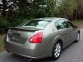 2008 Pebble Beach Metallic Nissan Maxima 3.5 SL  photo #6