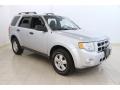 Ingot Silver Metallic - Escape XLT 4WD Photo No. 1