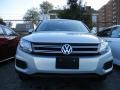 Reflex Silver Metallic - Tiguan SE Photo No. 10