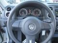 Reflex Silver Metallic - Tiguan SE Photo No. 13