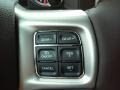 Canyon Brown/Light Frost Beige Controls Photo for 2017 Ram 1500 #116249299