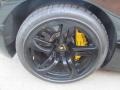 2007 Lamborghini Murcielago LP640 Coupe Wheel and Tire Photo