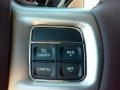 Canyon Brown/Light Frost Beige Controls Photo for 2017 Ram 3500 #116300492
