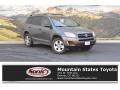 Magnetic Gray Metallic 2010 Toyota RAV4 I4 4WD