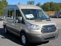 White Gold - Transit Van 250 MR Long Photo No. 7