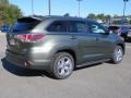 Alumina Jade Metallic - Highlander Limited Platinum Photo No. 21